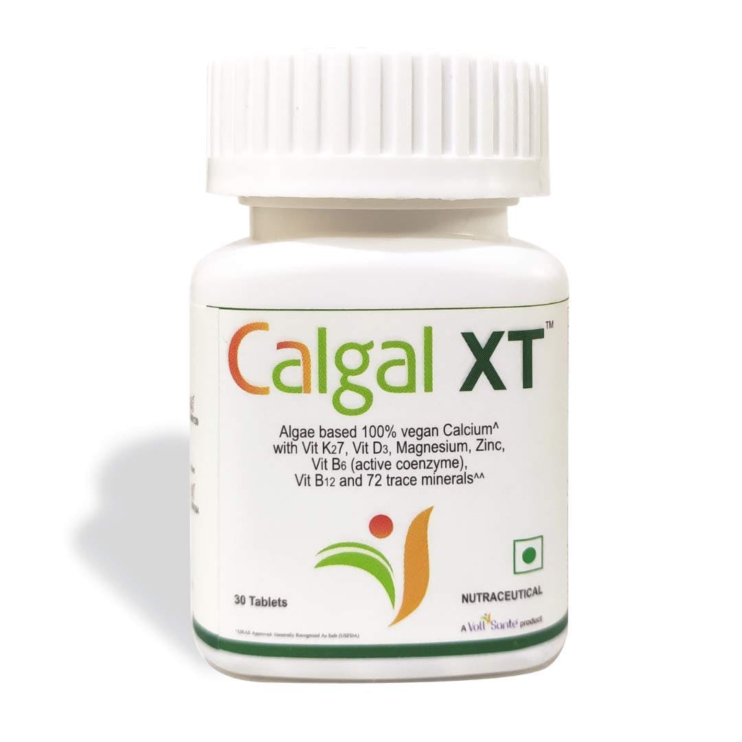 Plant Based Calcium Supplement- Calgal XT with Vitamin K2-7, Vitamin D3, Magnesium, Zinc, Vitamin B6 (active coenzyme) & Vitamin B12- 30 Vegetarian Tablets, High Bioavailability