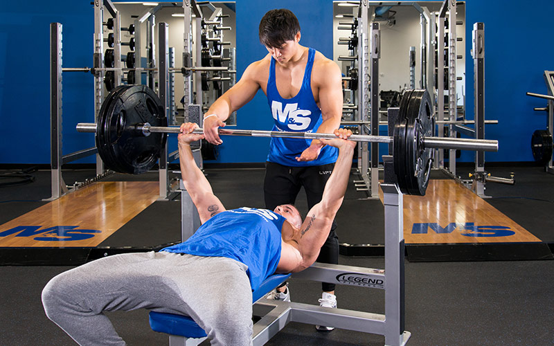 Mass Building Bench Press