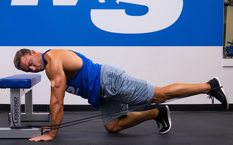 Quadruped Banded Hip Extension Glute Exercise