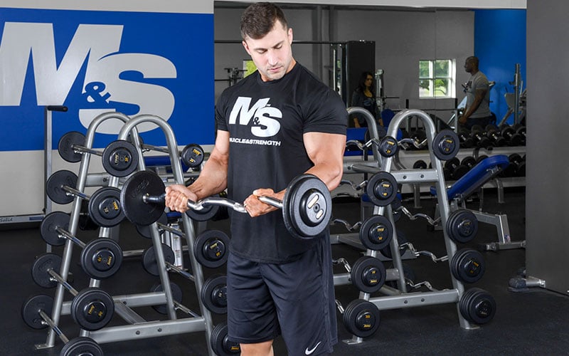 Athlete Performing EZ Bar Bicep Curls