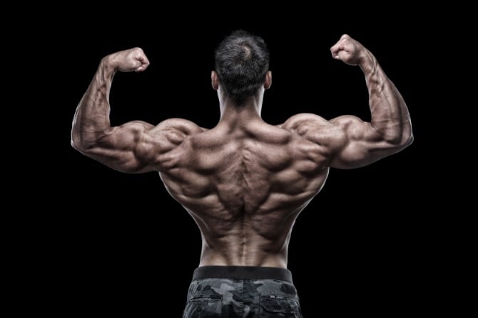 Shredded, muscular body