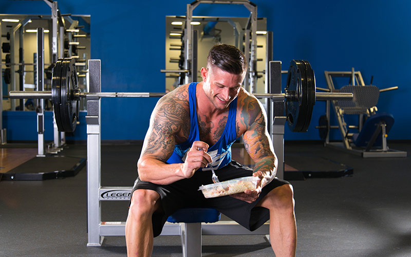 8 week shred meal frequency