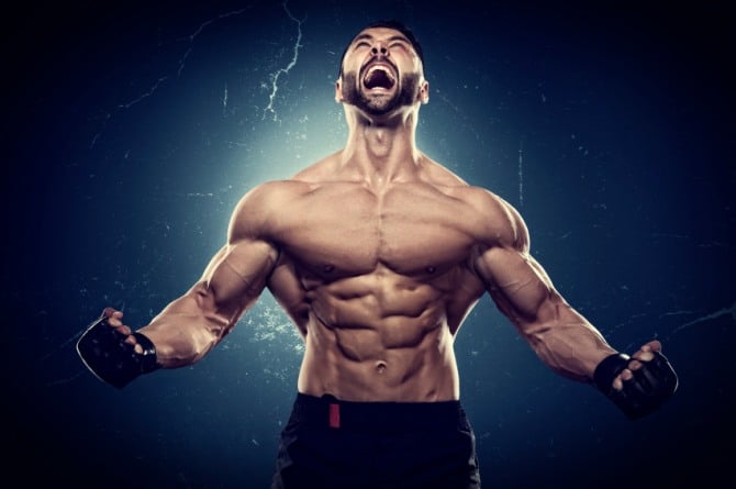 Shredded body