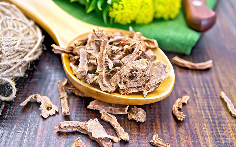 Rhodiola