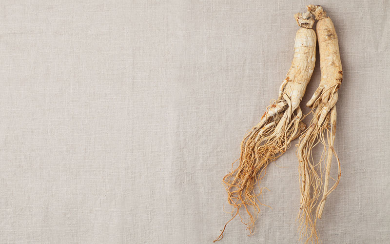 Ginseng
