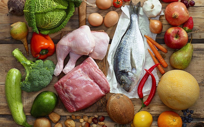 Best Fat Loss Diet Paleo
