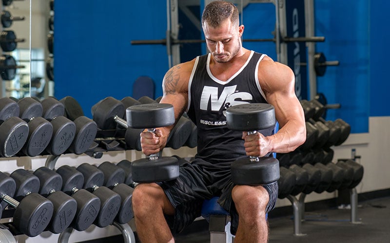 Best Shoulder Workout: Up for a Challenge?