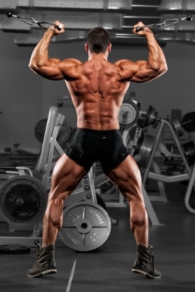 Maximize Your Bulk