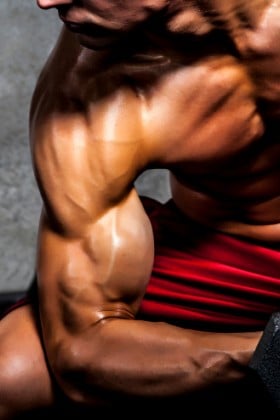 Huge Biceps