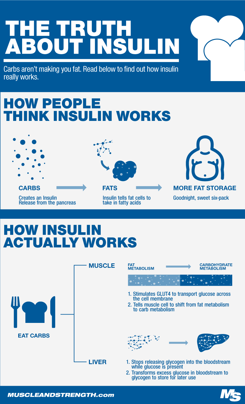 How Insulin Works Infographic