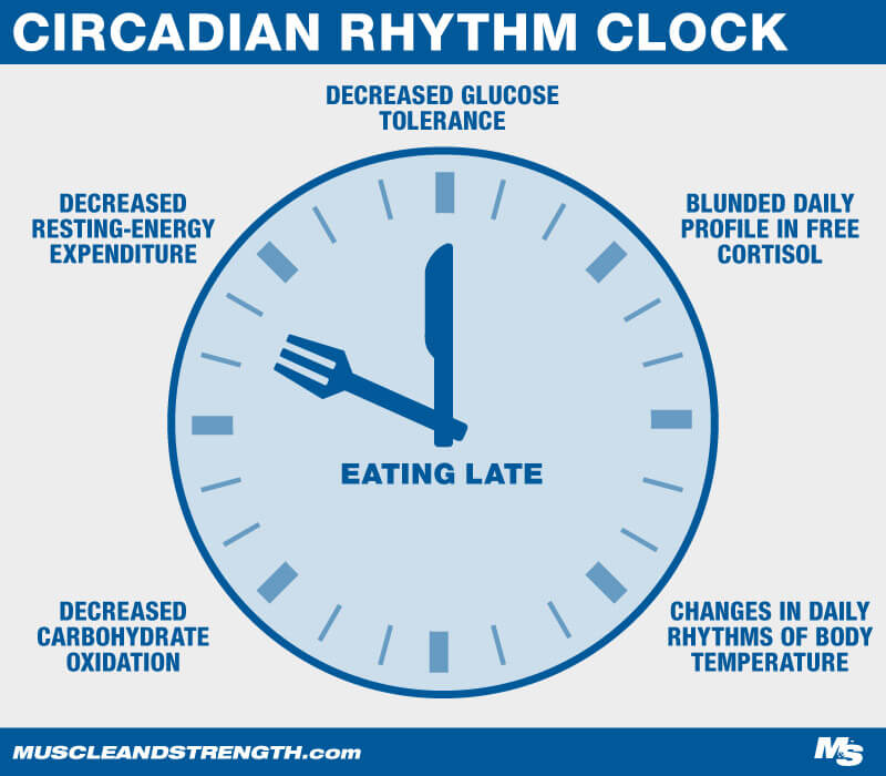 Circadian Rhythm Clock