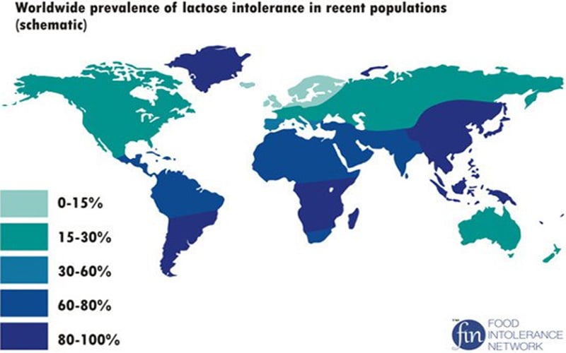 Worldwide Prevalence of Lactose Intolerant Populations
