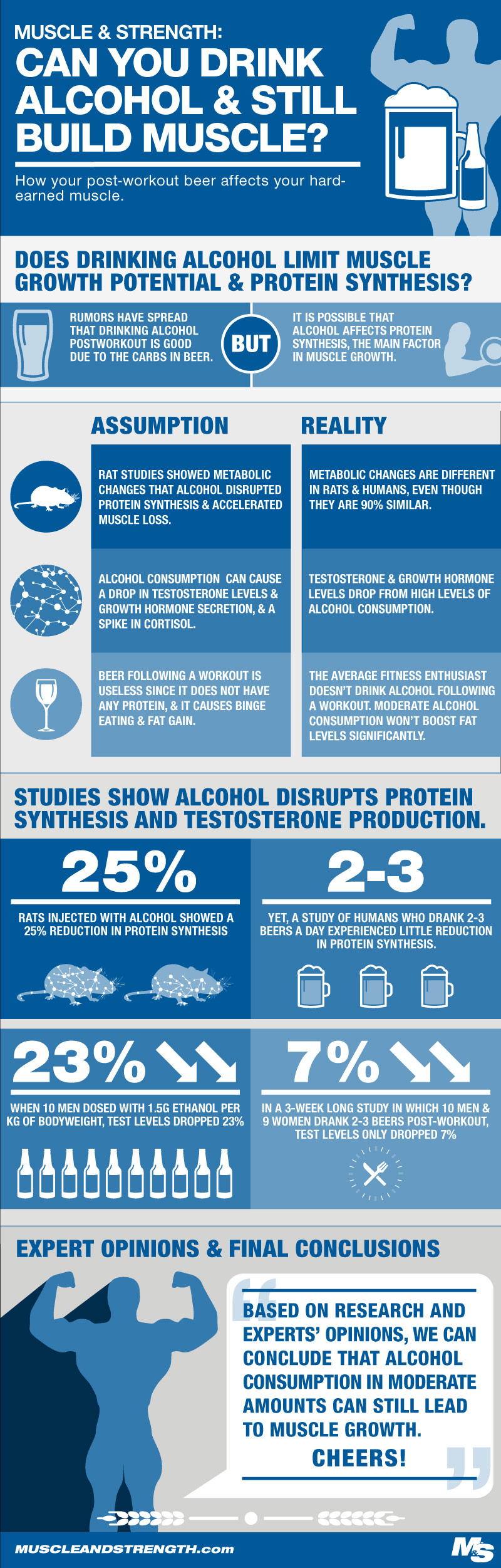 Alcohol and Muscle Building Infographic