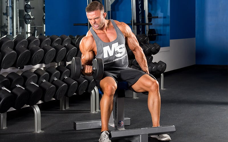 Best of 2016 Muscle & Strength Workouts