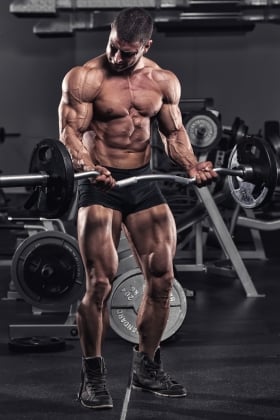 Endomorph Muscle Building