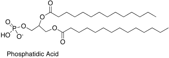 Phosphatidic Acid