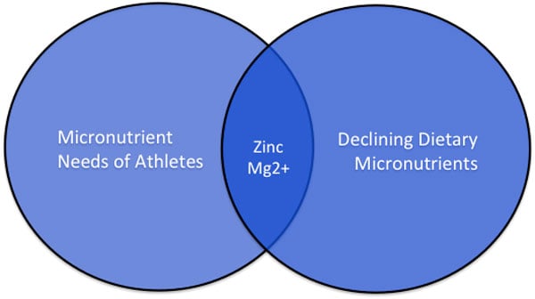 Essential Supplementation ZMA chart