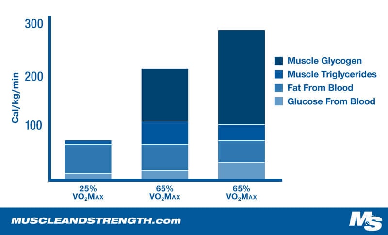 Graph illustrating the Fat Burning Zone