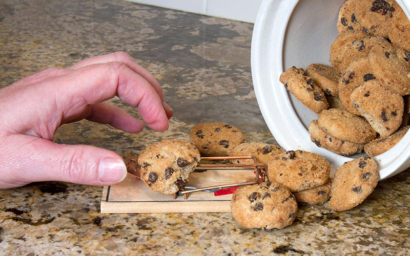 Fat Loss Fail: 5 Reasons You're Not Ripped - Strict Diet