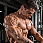 Build Muscle Lose Fat