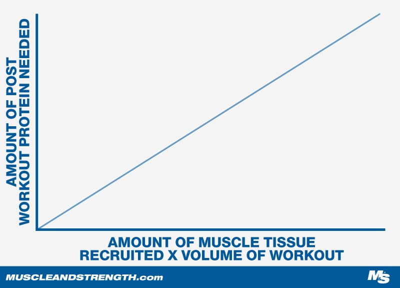 Protein Consumption and Growing New Muscle