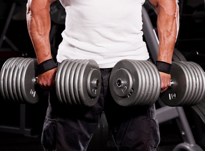 Lifting Straps