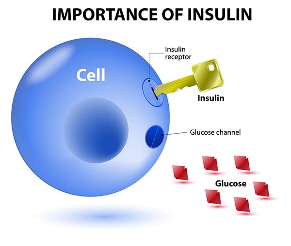 Optimizing Insulin Sensitivity: the importance of insulin