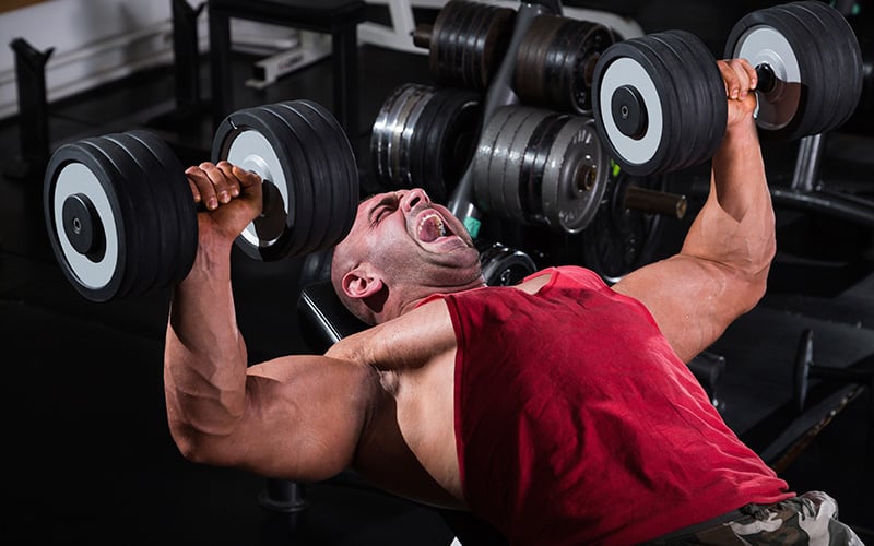 bench press for size and strength