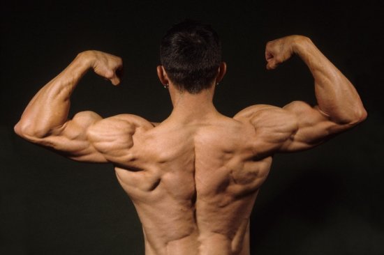 Jordan Chabinsky Muscular Back