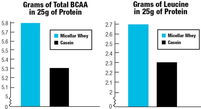 Micellar Whey versus Casein Protein