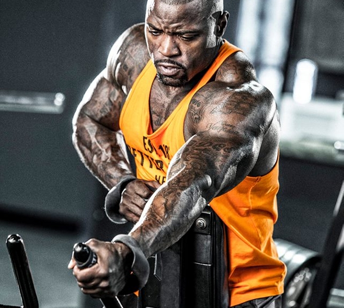 Mike Rashid