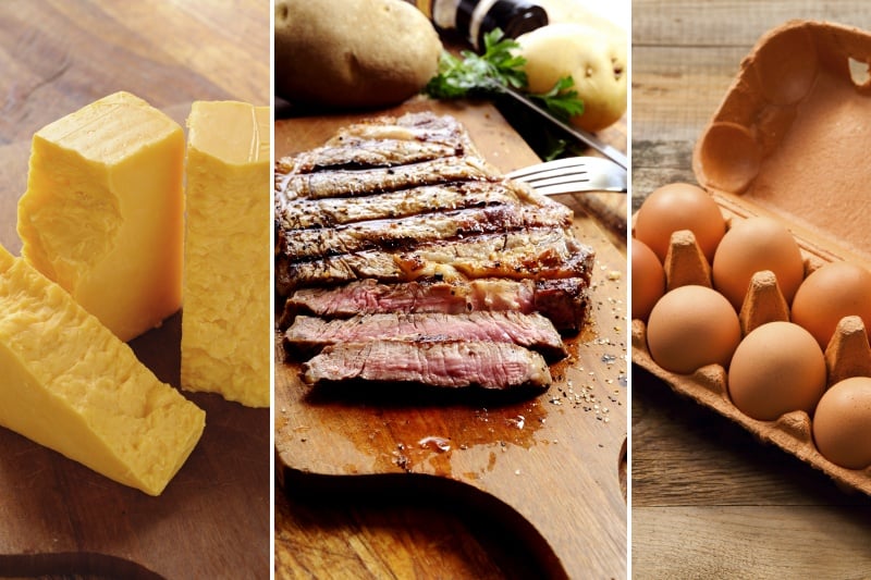 Protein Foods