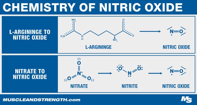 Chemistry of Nitric Oxide Graphic