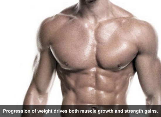 Progression of weight drives both muscle growth and strength gains.
