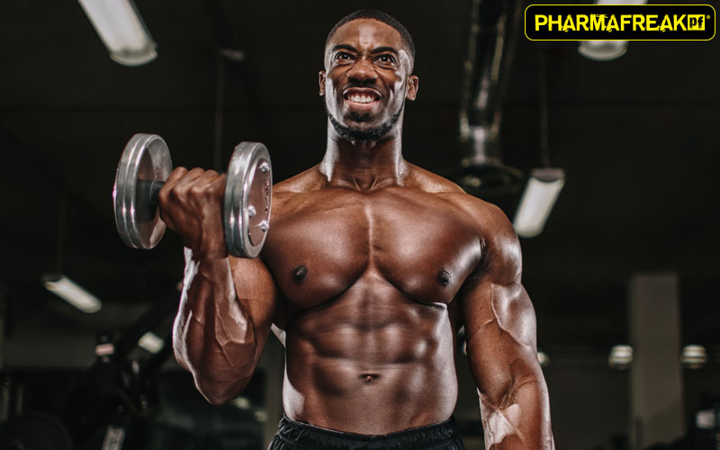Pre Workout Ingredients: Beta-Alanine to boost endurance