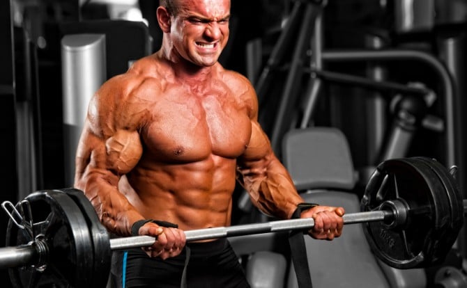 Bicep Curls