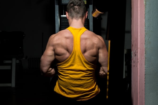 Seated Cable Rows