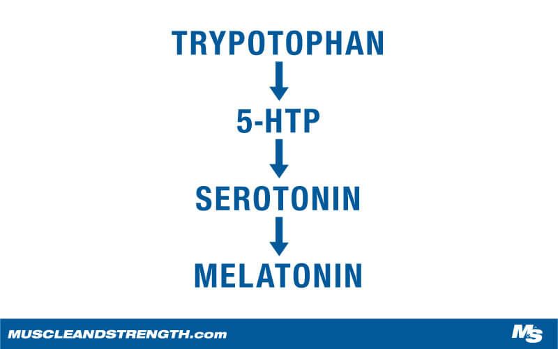 Flow chart of the importance of food and hormones for sleep