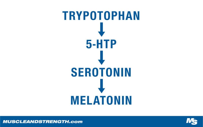 Sleep Science for Students Graphic 2