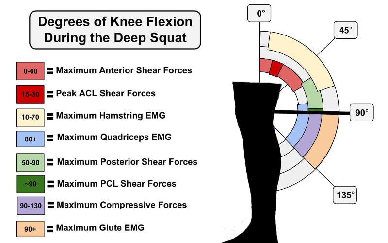 Squatting: 3 Things You've Been Doing Wrong All Along