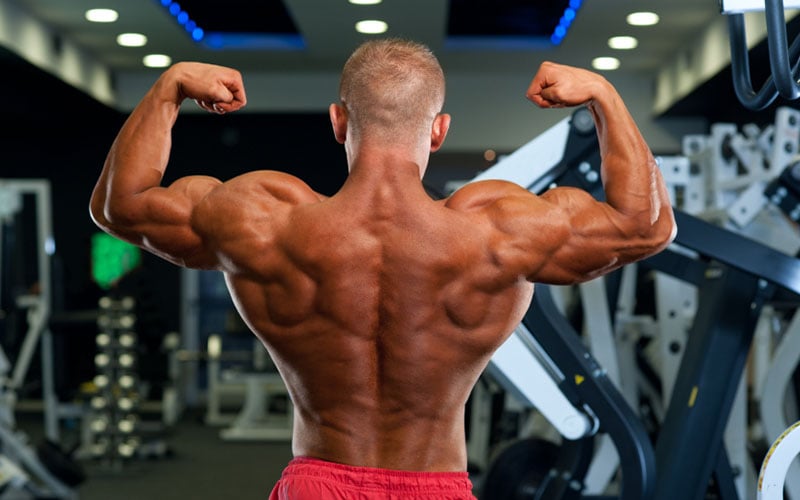 Supersets To Build Back Muscles