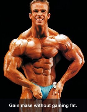 Gain Muscle Without Gaining Fat