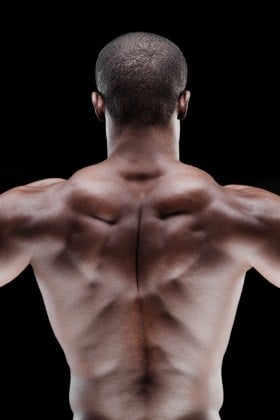 Muscular back