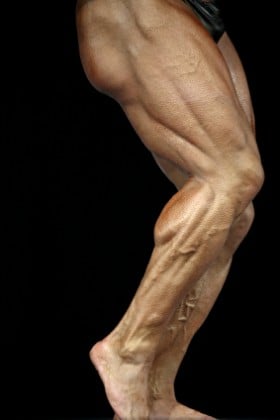 Strong hamstrings provide stability.