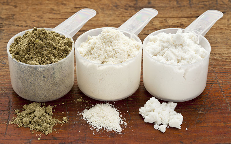 Plant-Based Protein Supplement Powders