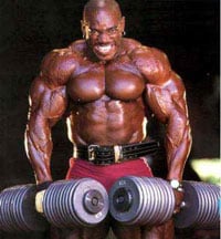 Shrug Strength