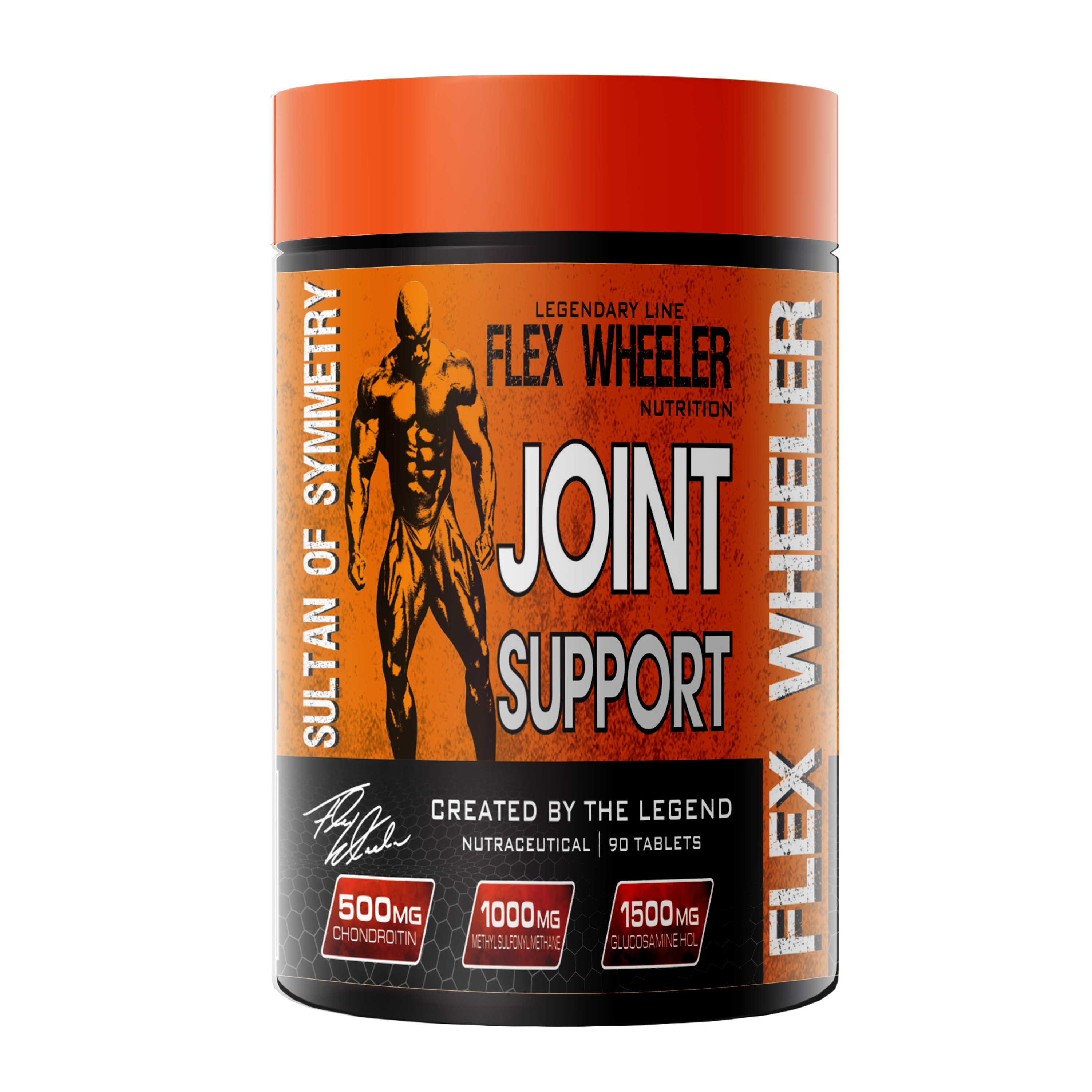 JOINT SUPPORT