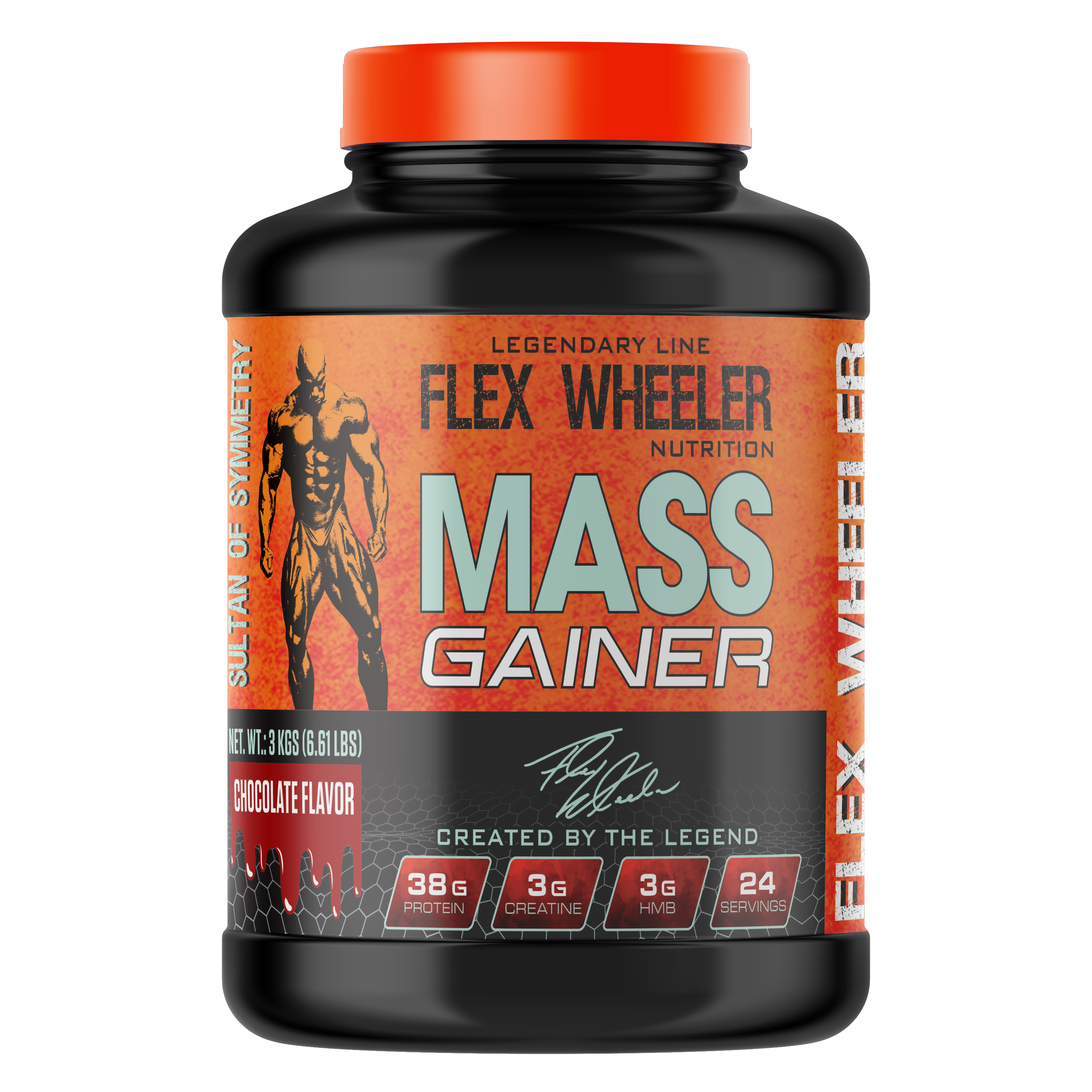MASS GAINER 6 LBS